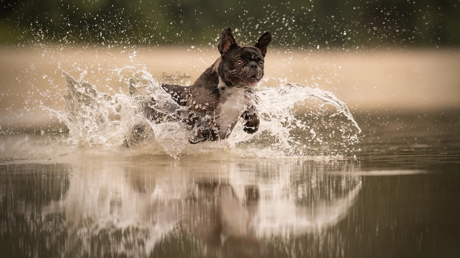 Tips - Water in beweging of bevriezen