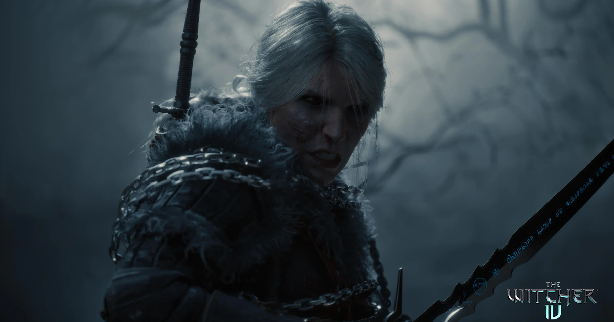 The Witcher 4 krijgt hoe dan ook een fysieke release