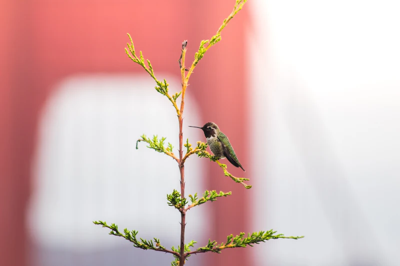 Fotowedstrijd Natuur in de stad - De uitslag!