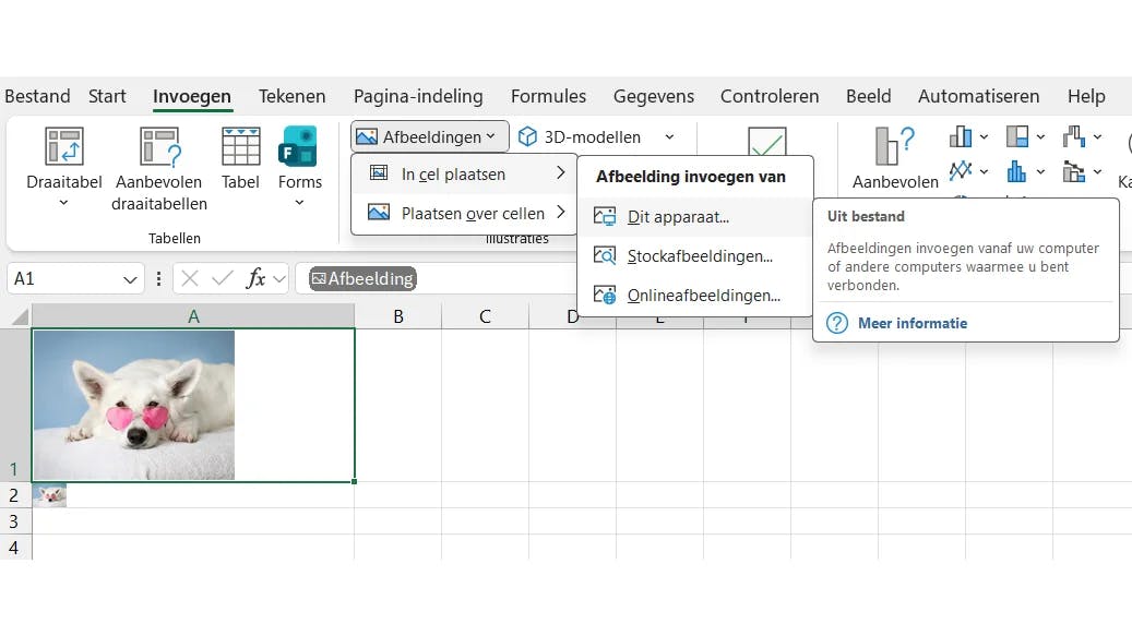 Een geplakte afbeelding kun je met de rechtermuisknop toch in een cel plaatsen.