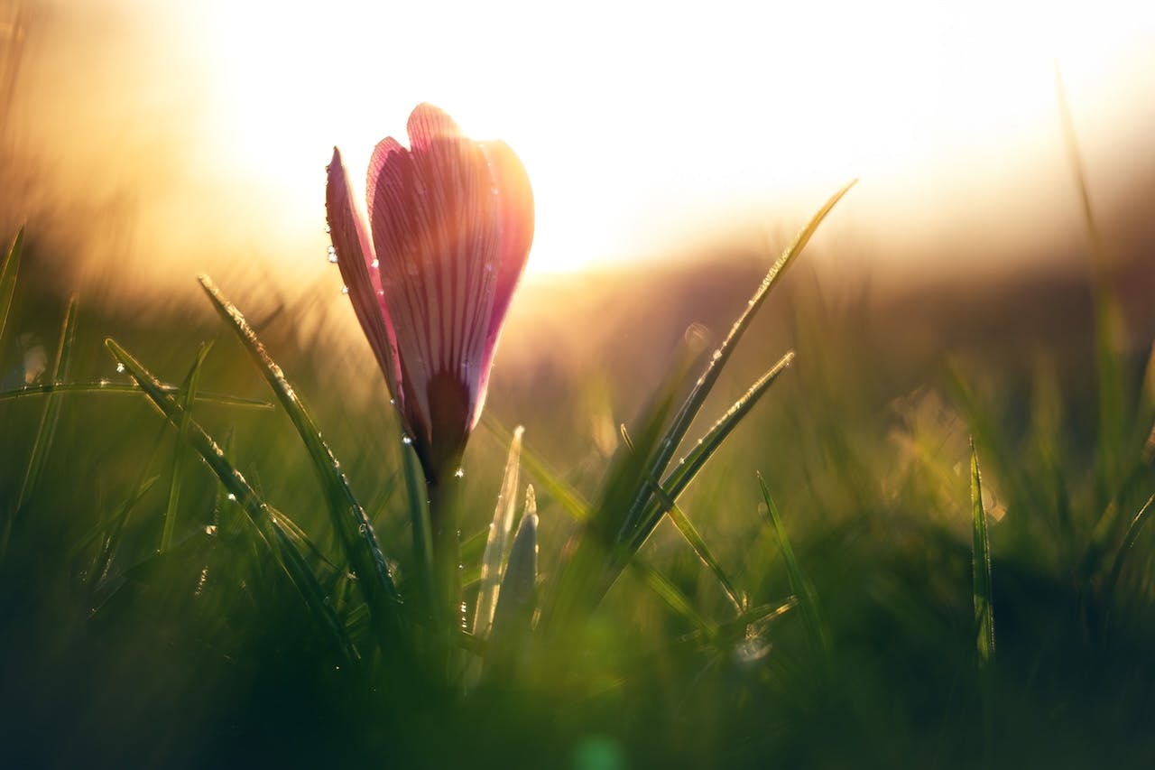 Inspiratie - Naar buiten in maart!