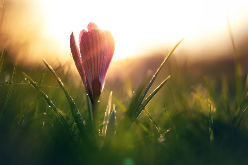 Inspiratie - Naar buiten in maart!