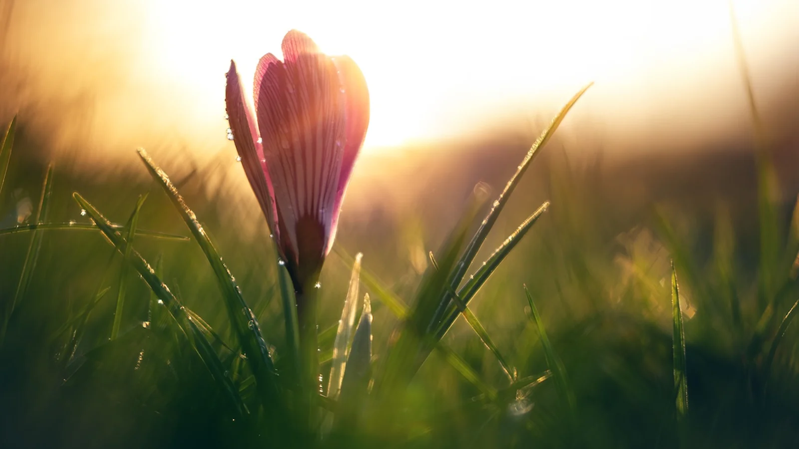 Inspiratie - Naar buiten in maart!