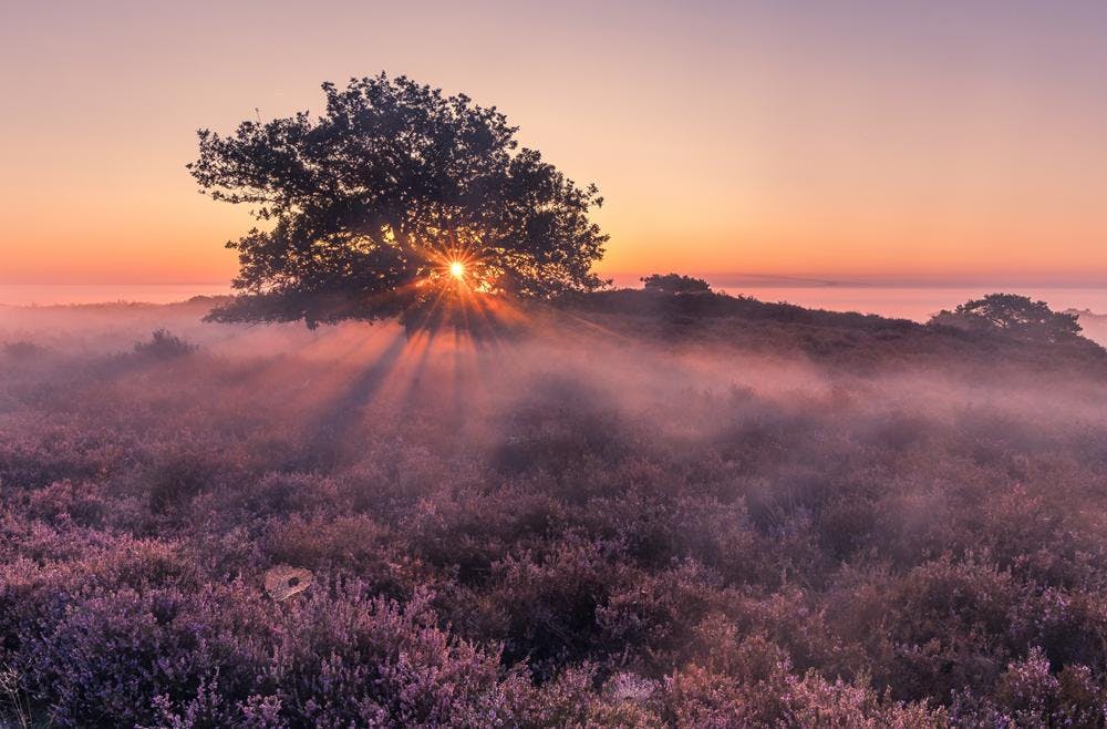 Handige tips over compositie