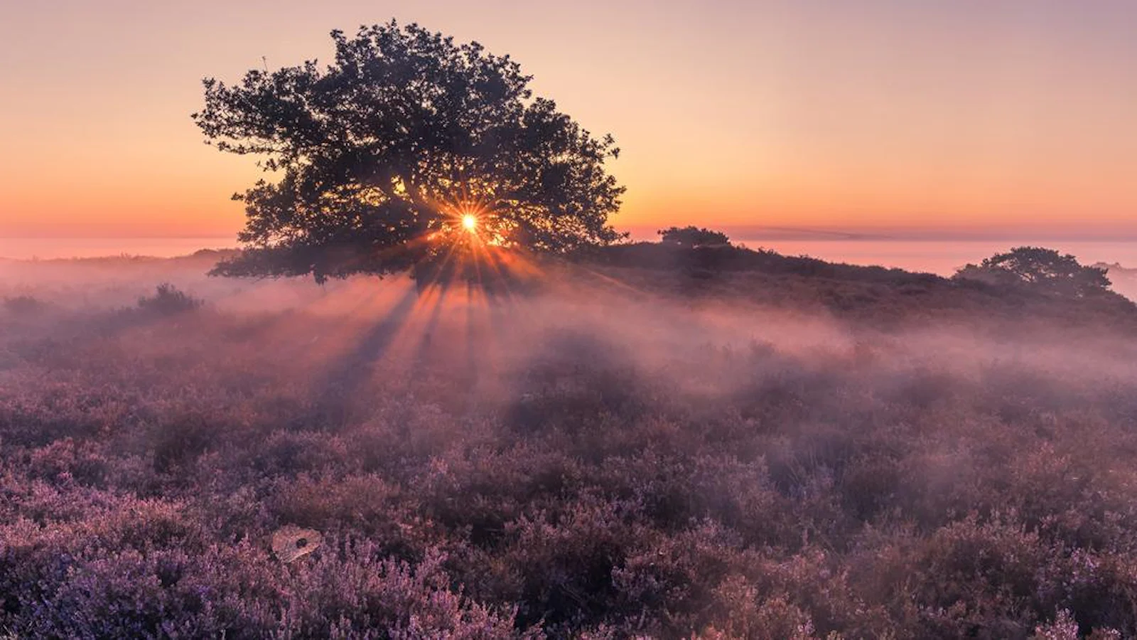 Handige tips over compositie