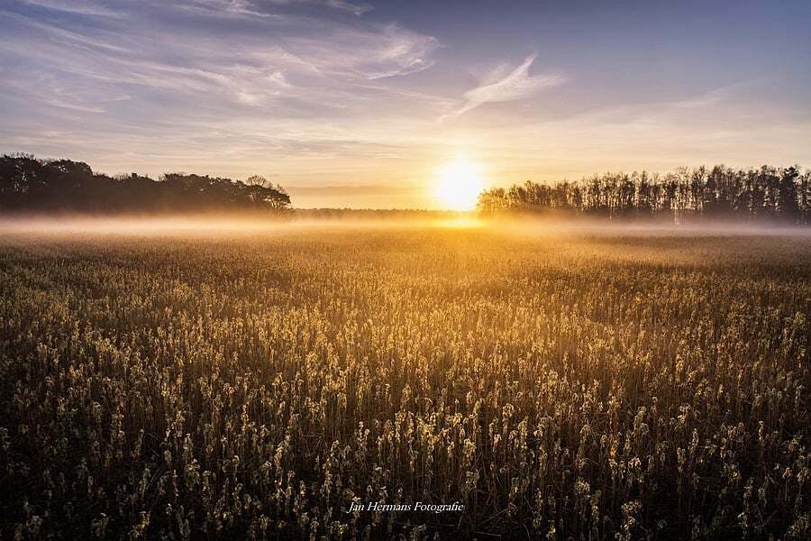 Brandpuntsafstand - Hoe je objectief je foto beïnvloedt