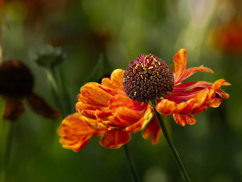 Inspiratie - Creatief met bloemen