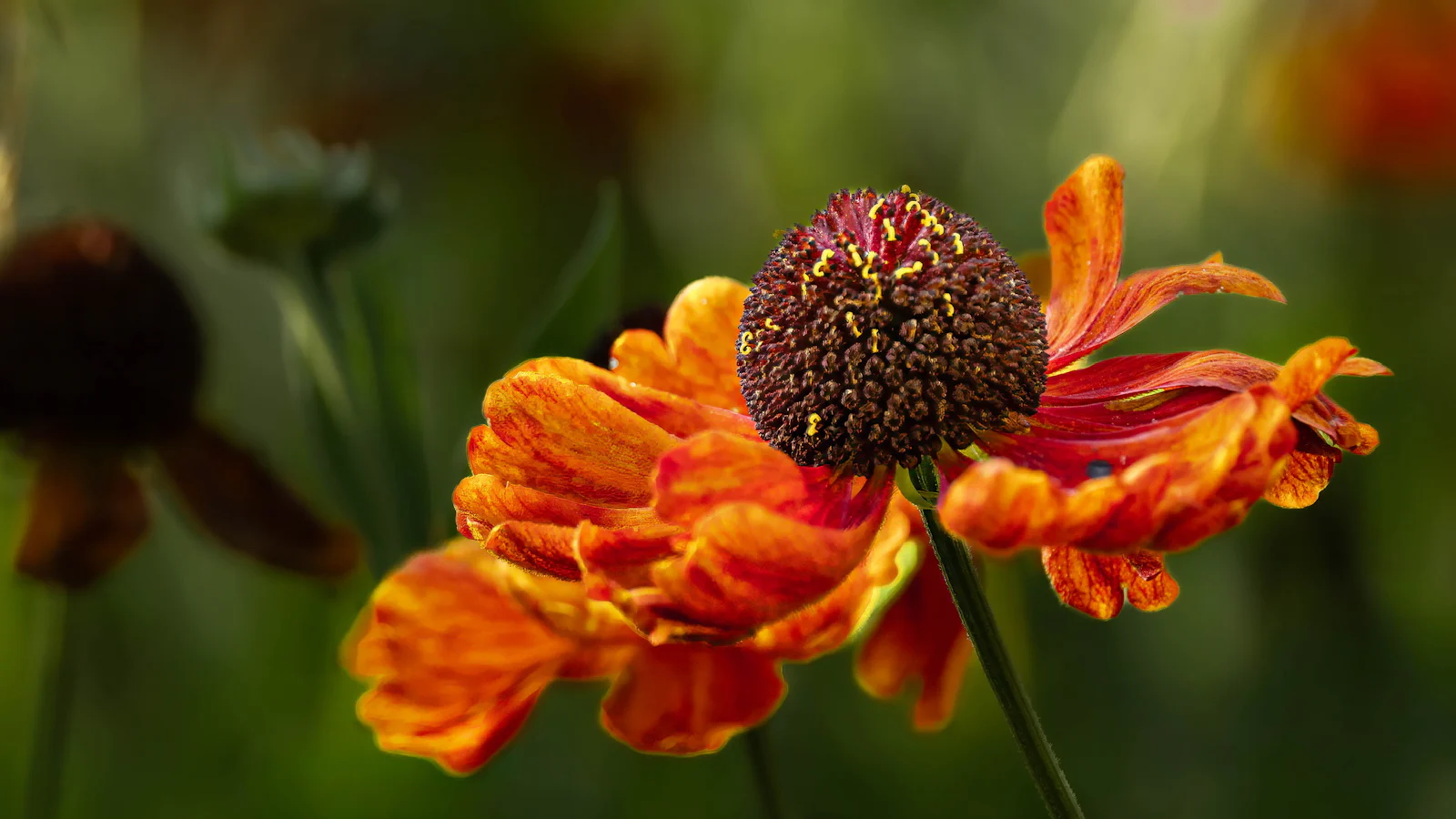 Inspiratie - Creatief met bloemen