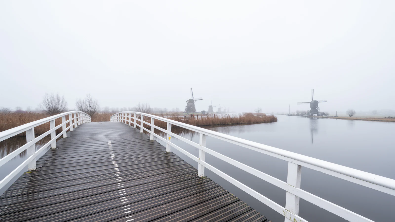 Workshop landschapsfotografie met Nikon – Anniek van Wijk-Mulder