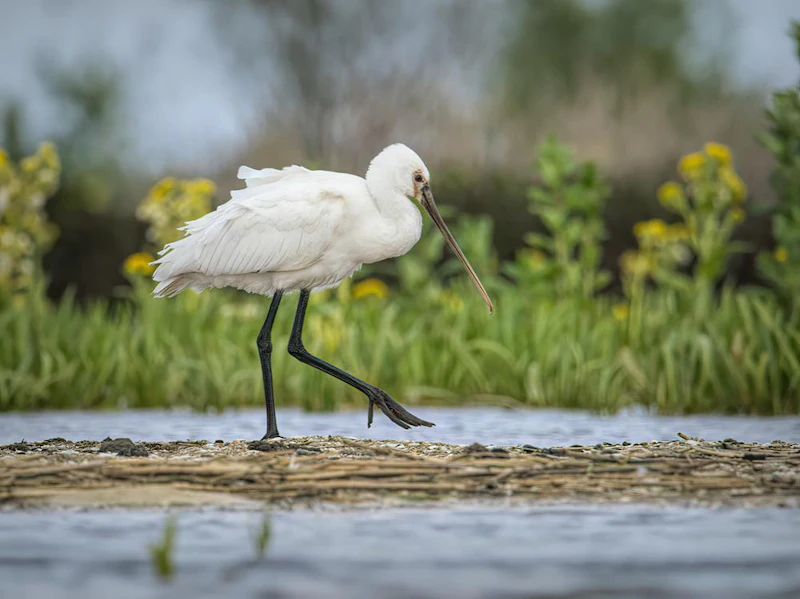 GEZOCHT: fotografeer de Marker Wadden met Zoom.nl