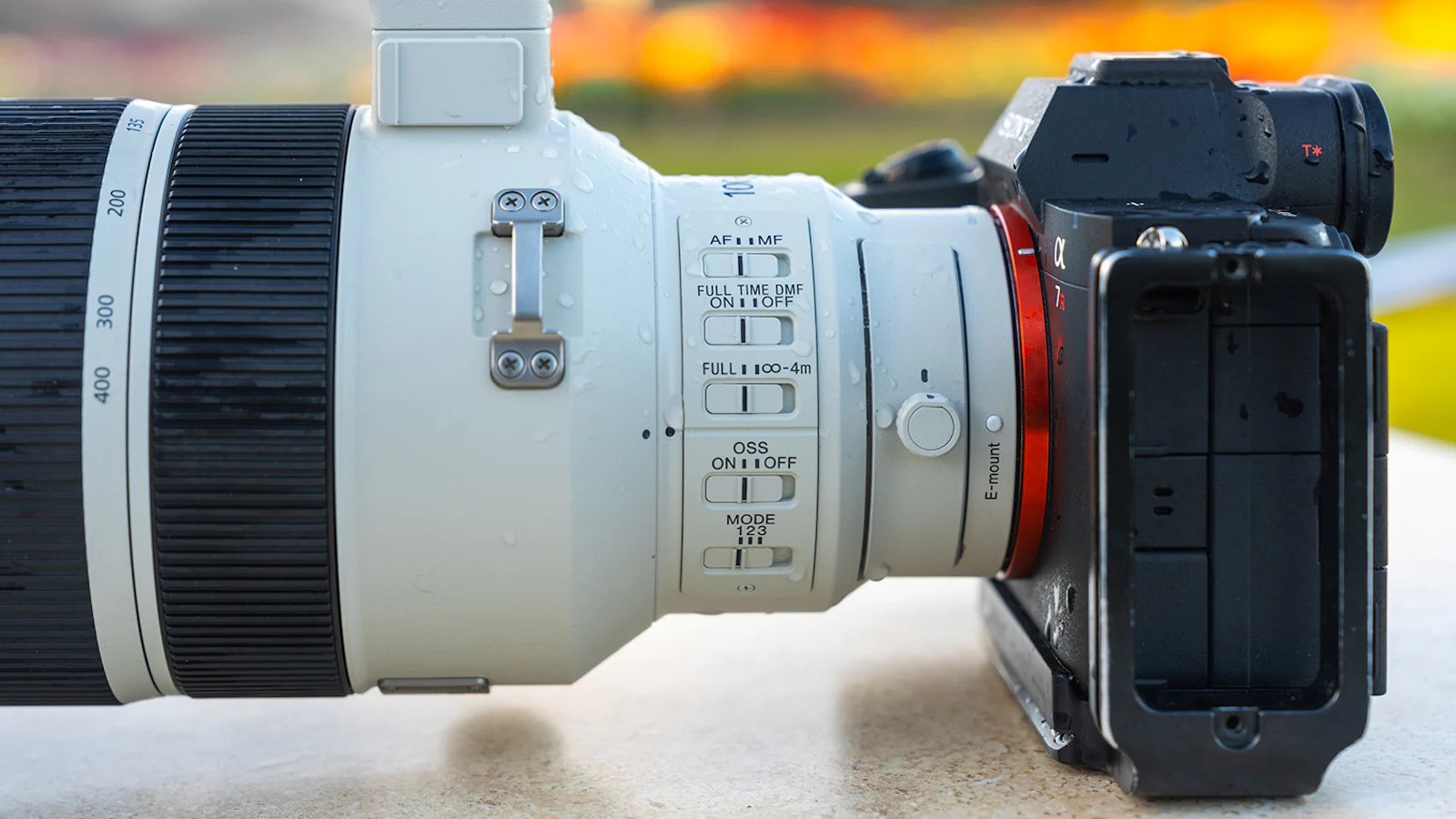 Toptelelens: Sony FE 100-400mm F4.5 GM OSS