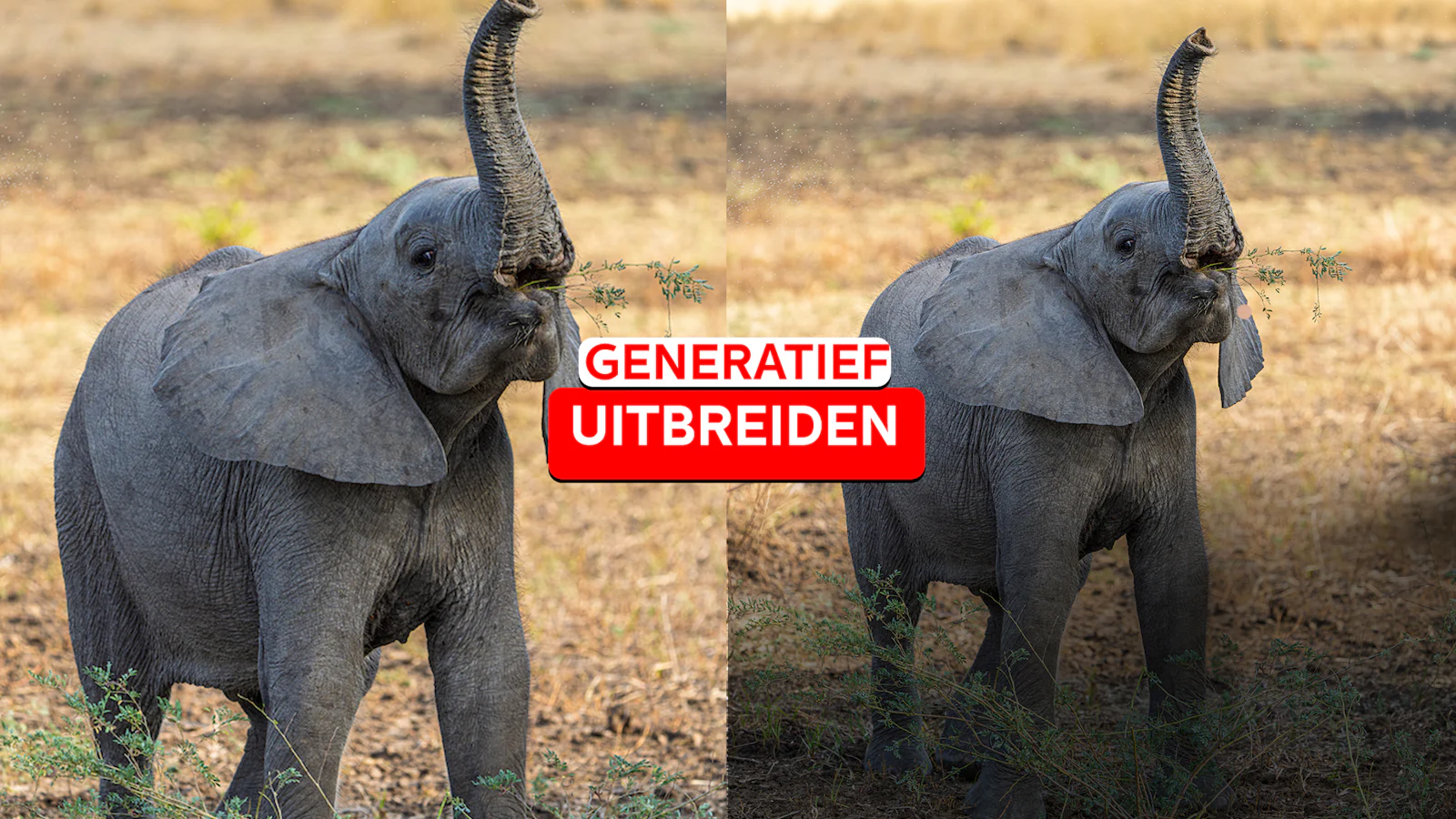 Photoshop - Generatief uitbreiden wordt volwassen