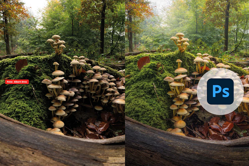 Fotowedstrijd - Bewerkte foto met Albert Dros