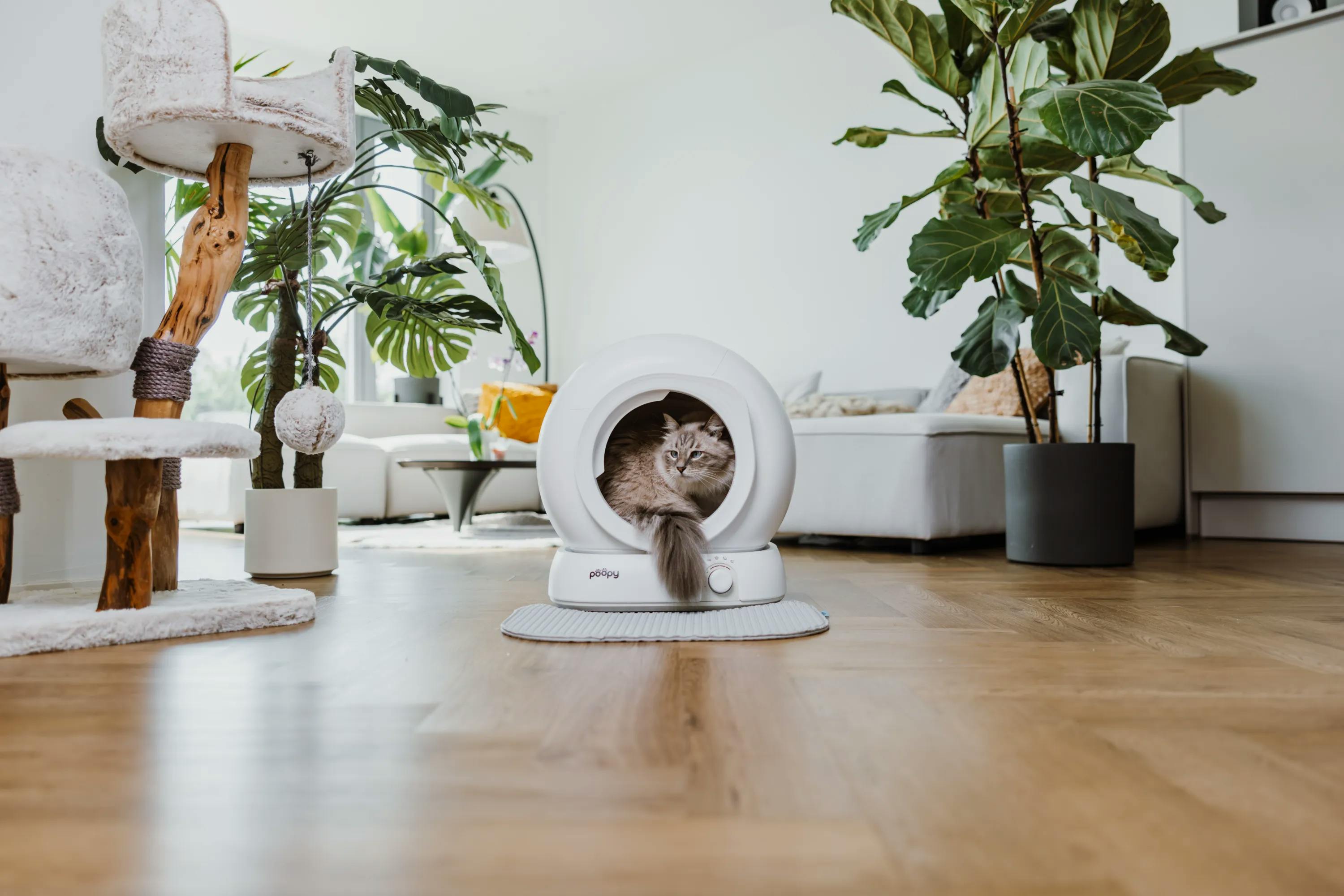 Poopy vernieuwt de zelfreinigende kattenbak: stiller, schoner en slimmer