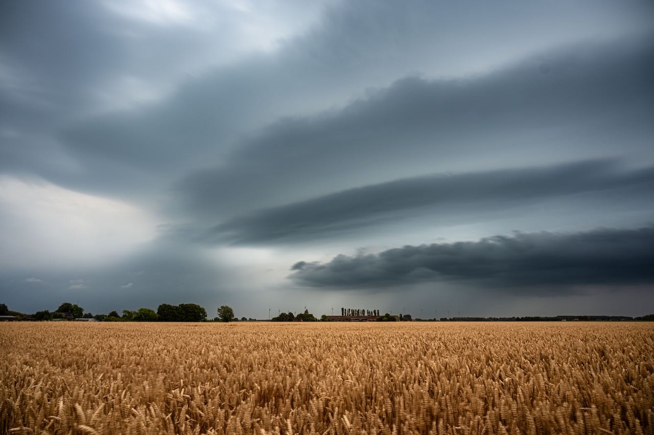 Zomerse onweersbuien fotograferen