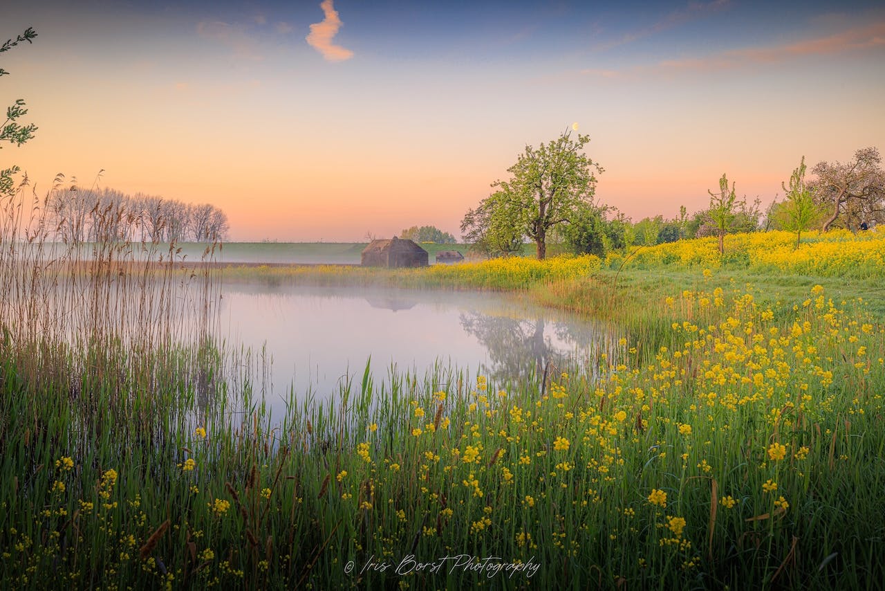 Bloemen en weidevelden fotograferen