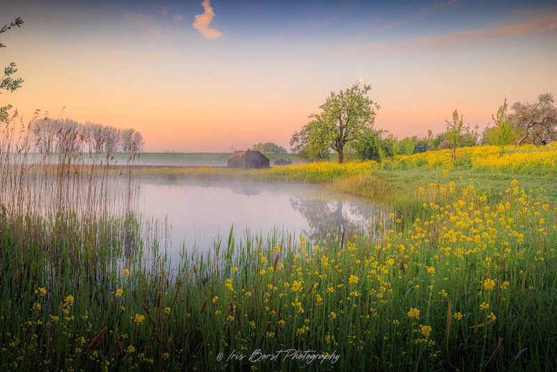 Bloemen en weidevelden fotograferen