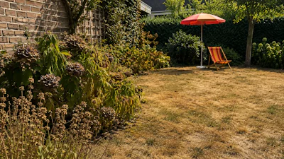 Tuin water geven bij droogte: zo sproei je slimmer en zuiniger