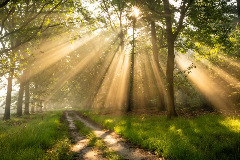 Haal alles uit een dag met fel zonlicht