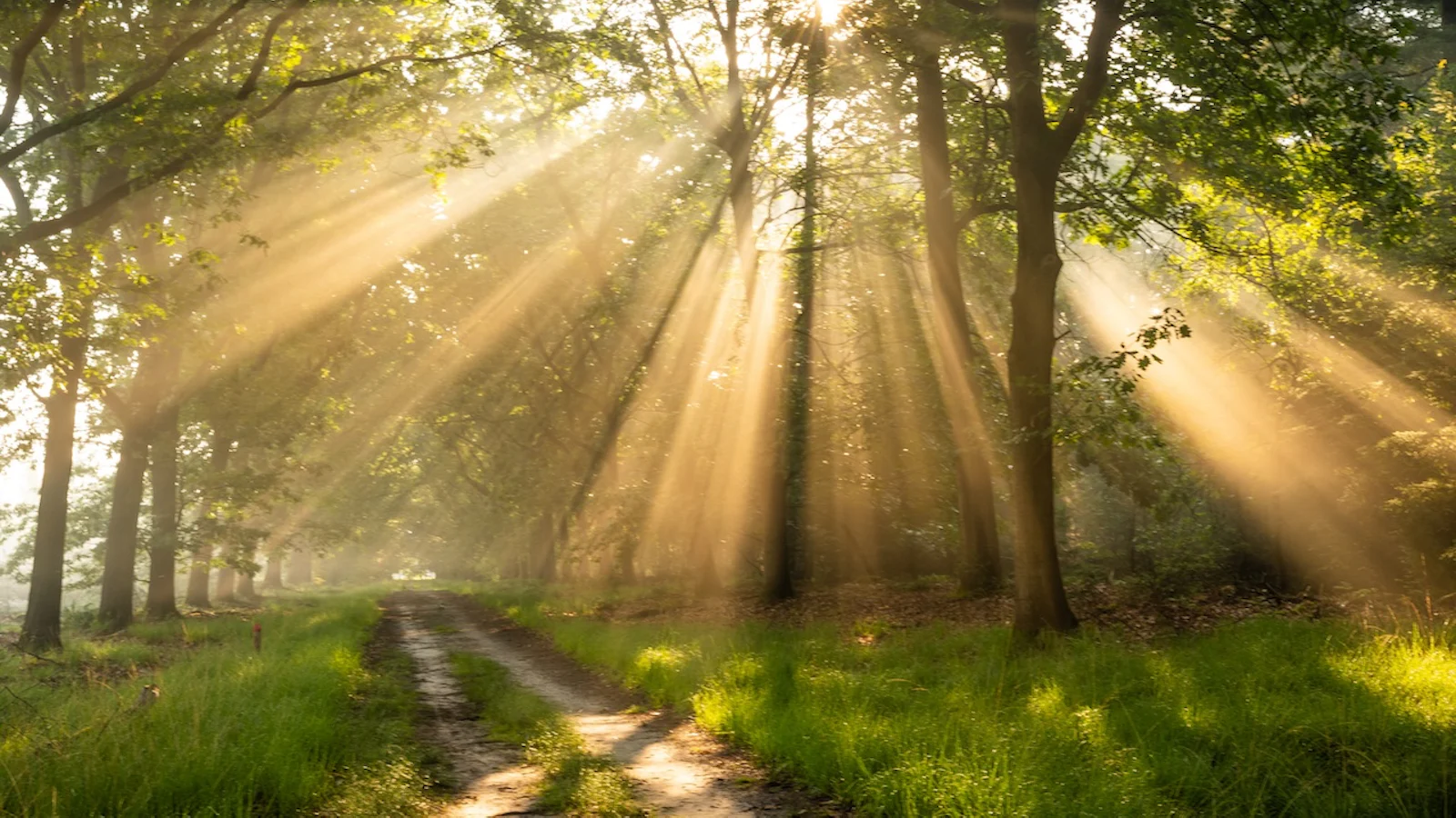 Haal alles uit een dag met fel zonlicht
