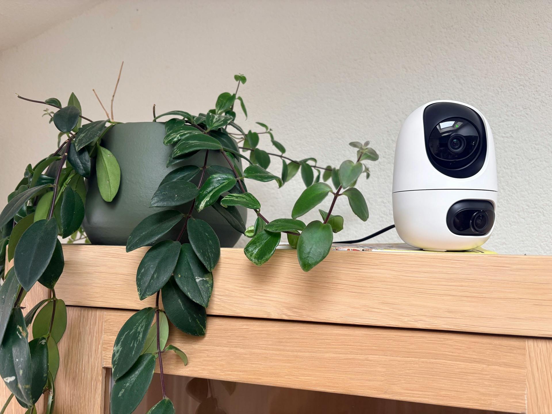 Review TP-Link Tapo C245D – Betaalbare binnencamera met twee lenzen