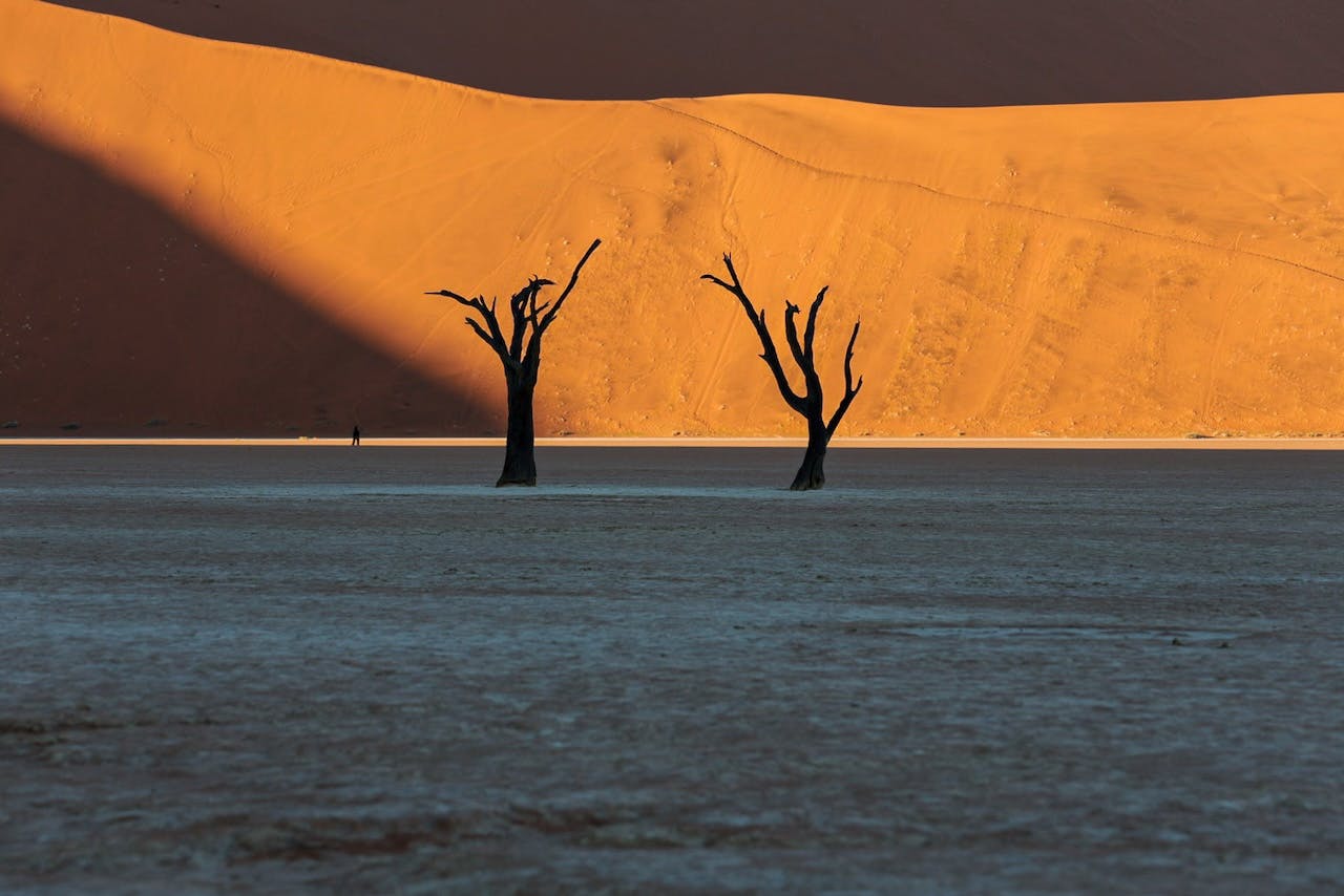 Zo organiseer en beveilig je jouw vakantiefoto's in 5 stappen