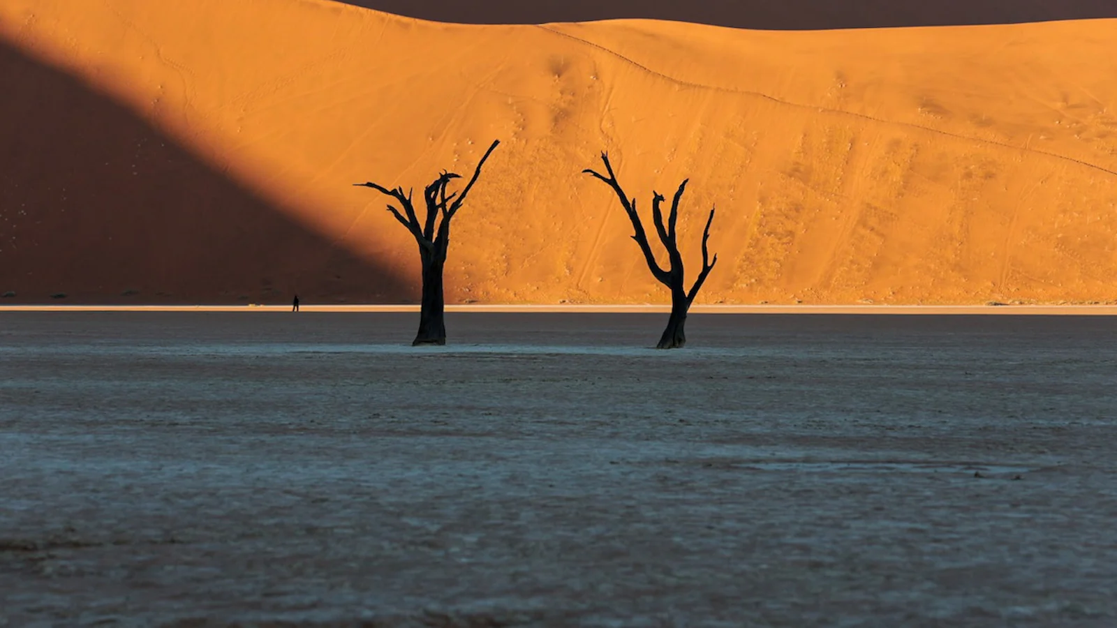 Zo organiseer en beveilig je jouw vakantiefoto's in 5 stappen