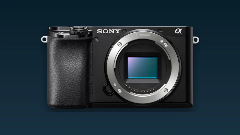 Sony A6100 review - Instapmodel met extraatjes