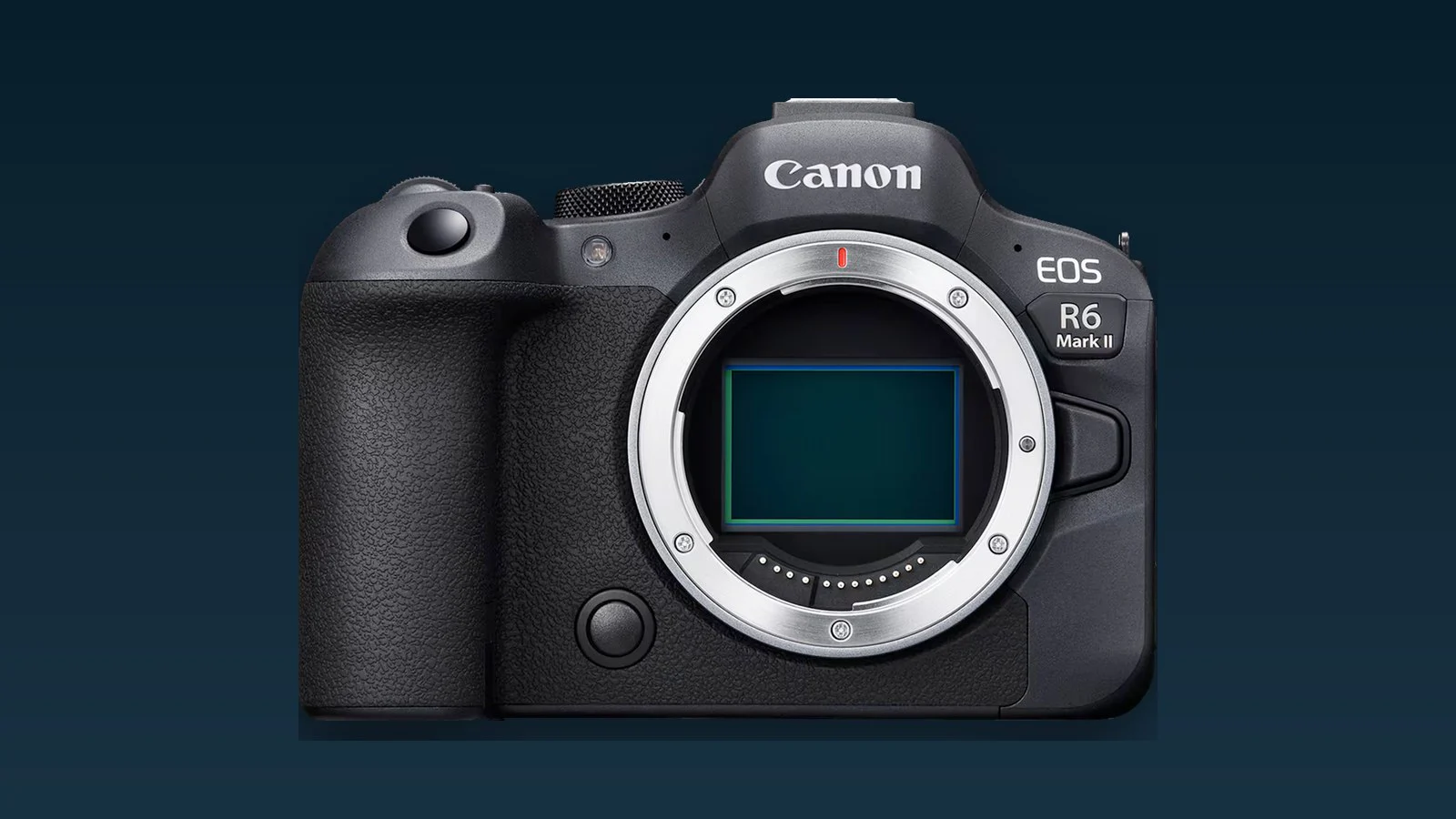 Canon EOS R6 Mark II review - Werkpaard voor foto en film