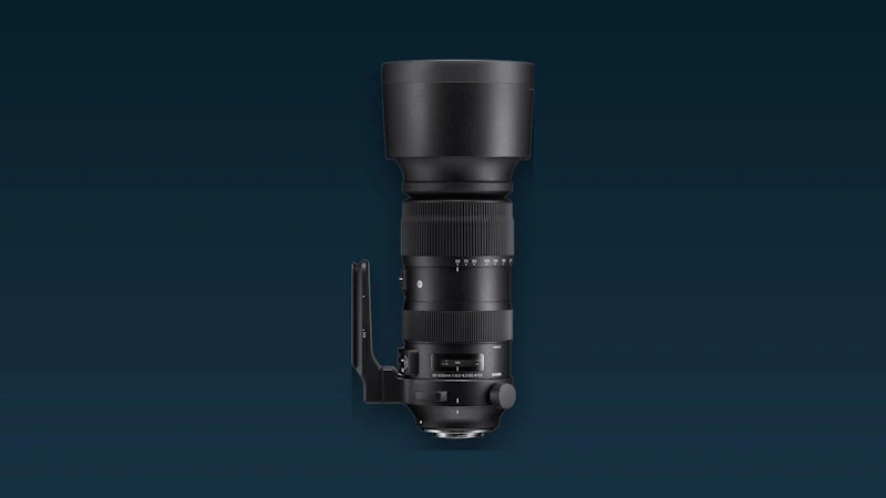 Sigma 60-600mm F4.5-6.3 DG OS HSM Sports review - Indrukwekkend en veelzijdig