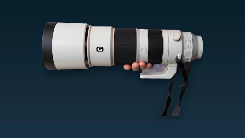 Sony FE 200-600 mm F5.6-6.3 G OSS review - Waar voor je geld