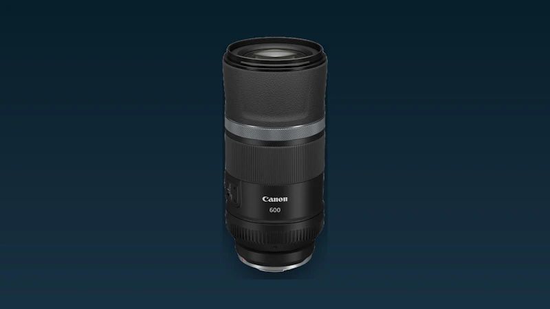 Canon RF 600mm F11 IS STM / RF 800mm F11 IS STM review - Out of the box