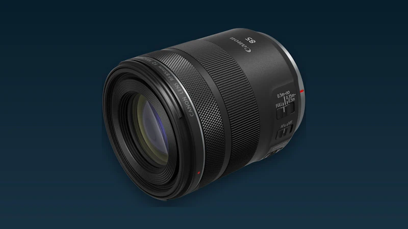 Canon RF 85mm F2 Macro IS STM review - Aangename verrassing