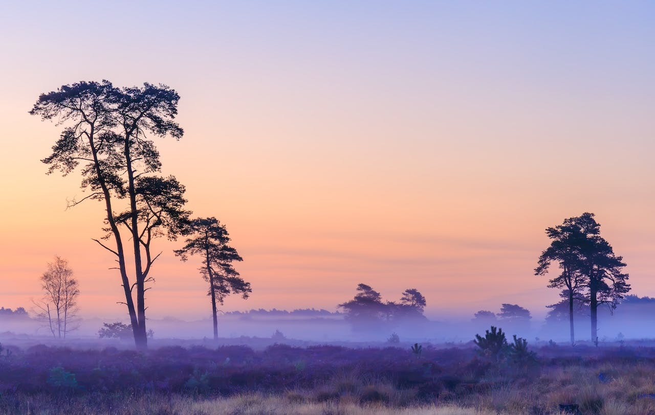 Zo fotografeer je een sfeervolle mistige ochtend