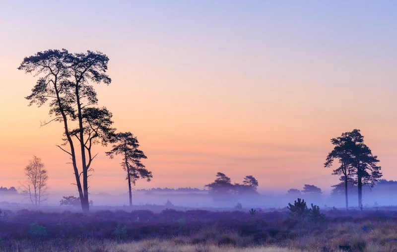Zo fotografeer je een sfeervolle mistige ochtend