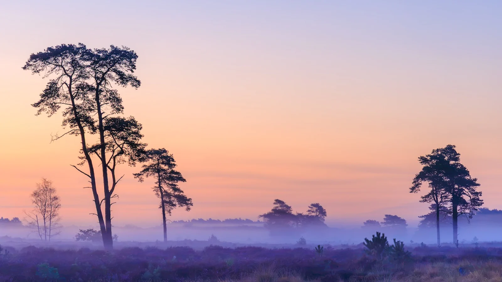 Zo fotografeer je een sfeervolle mistige ochtend