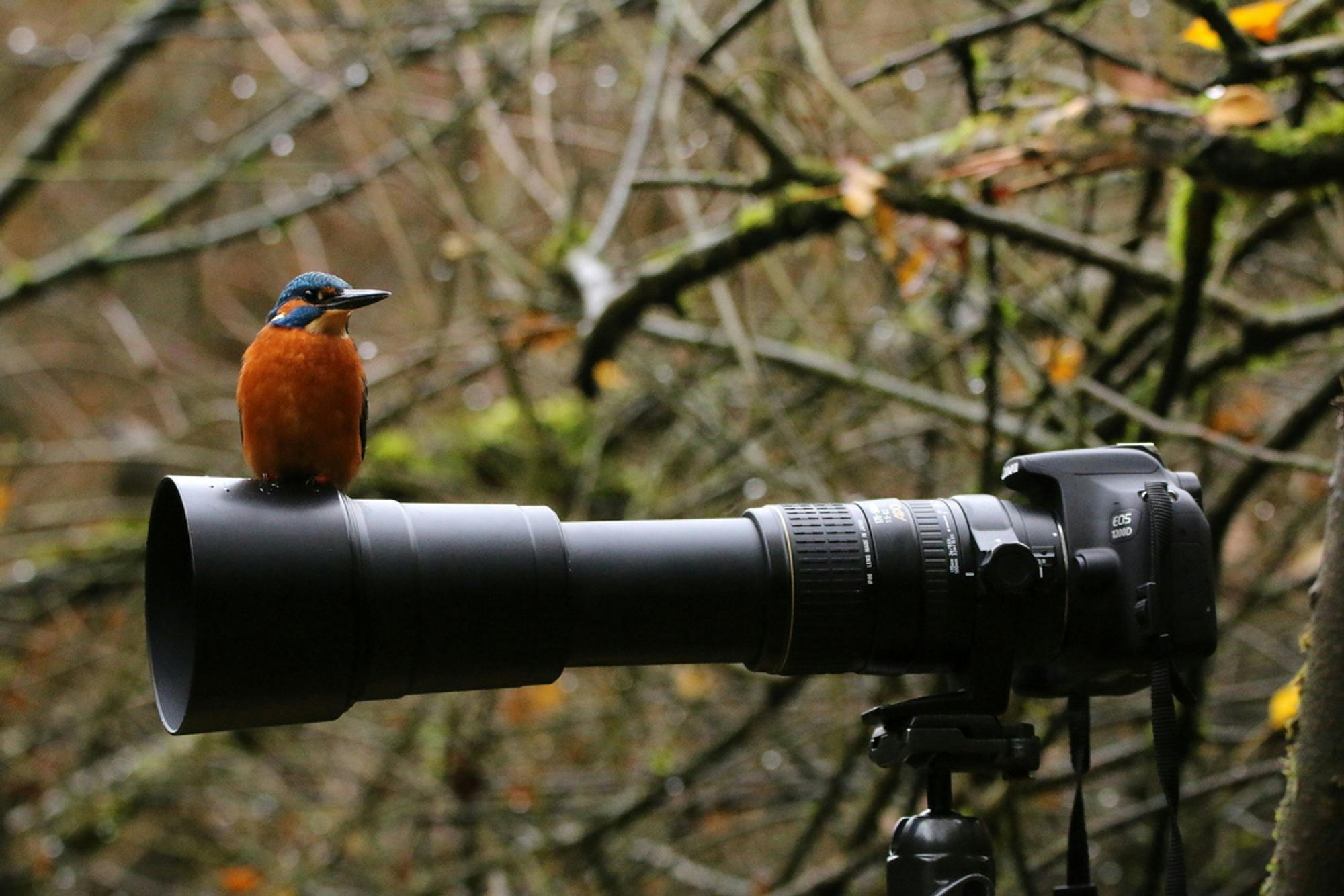 Oproep: wat is jouw mooiste fotoblunder?