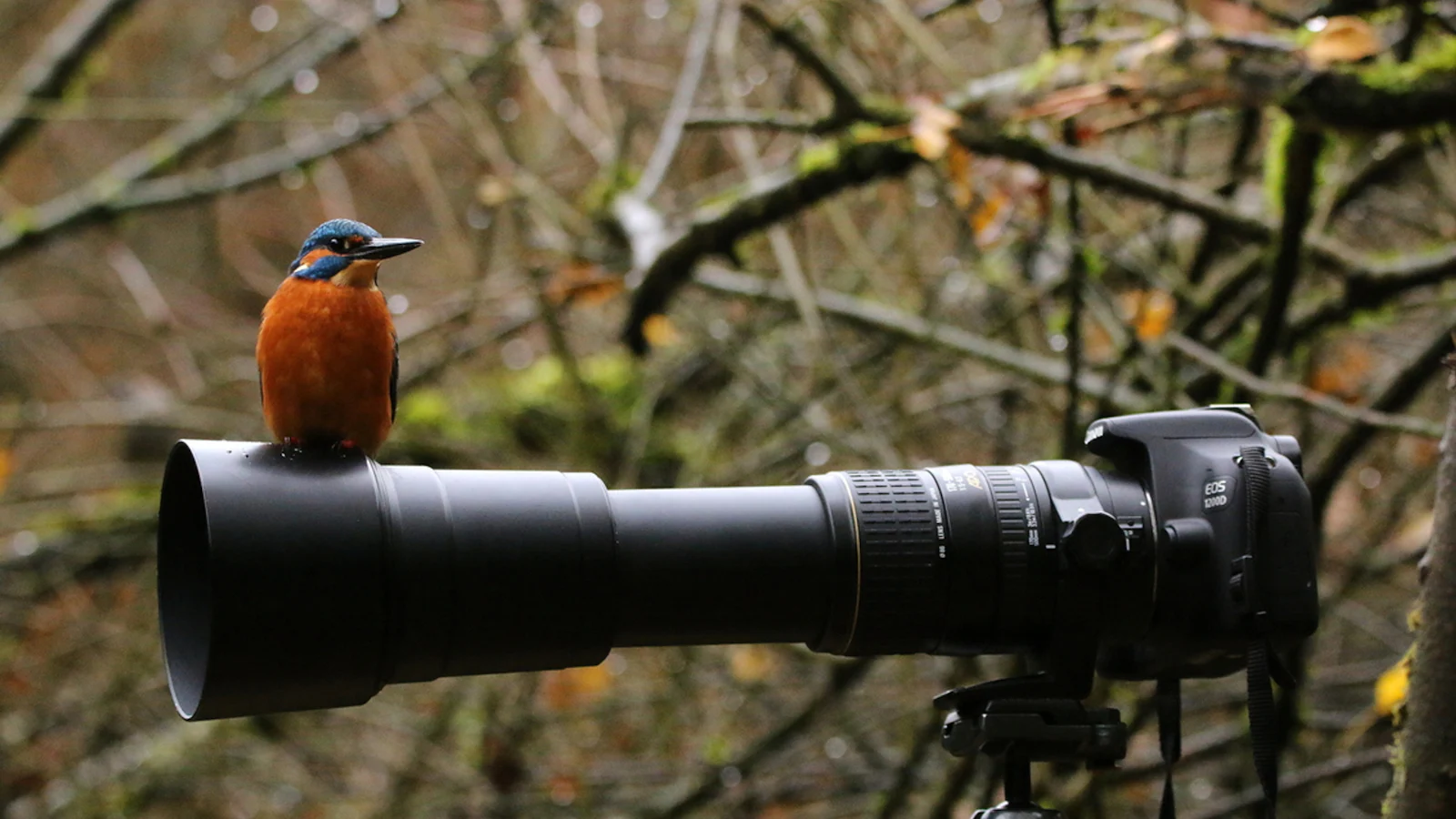 Oproep: wat is jouw mooiste fotoblunder?