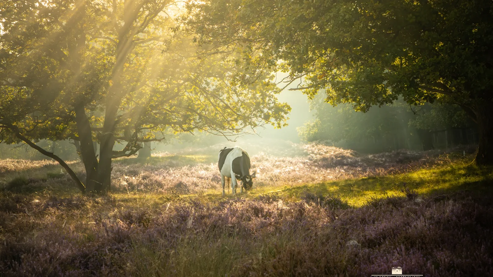 Inspiratie - Fotograferen met de septemberzon