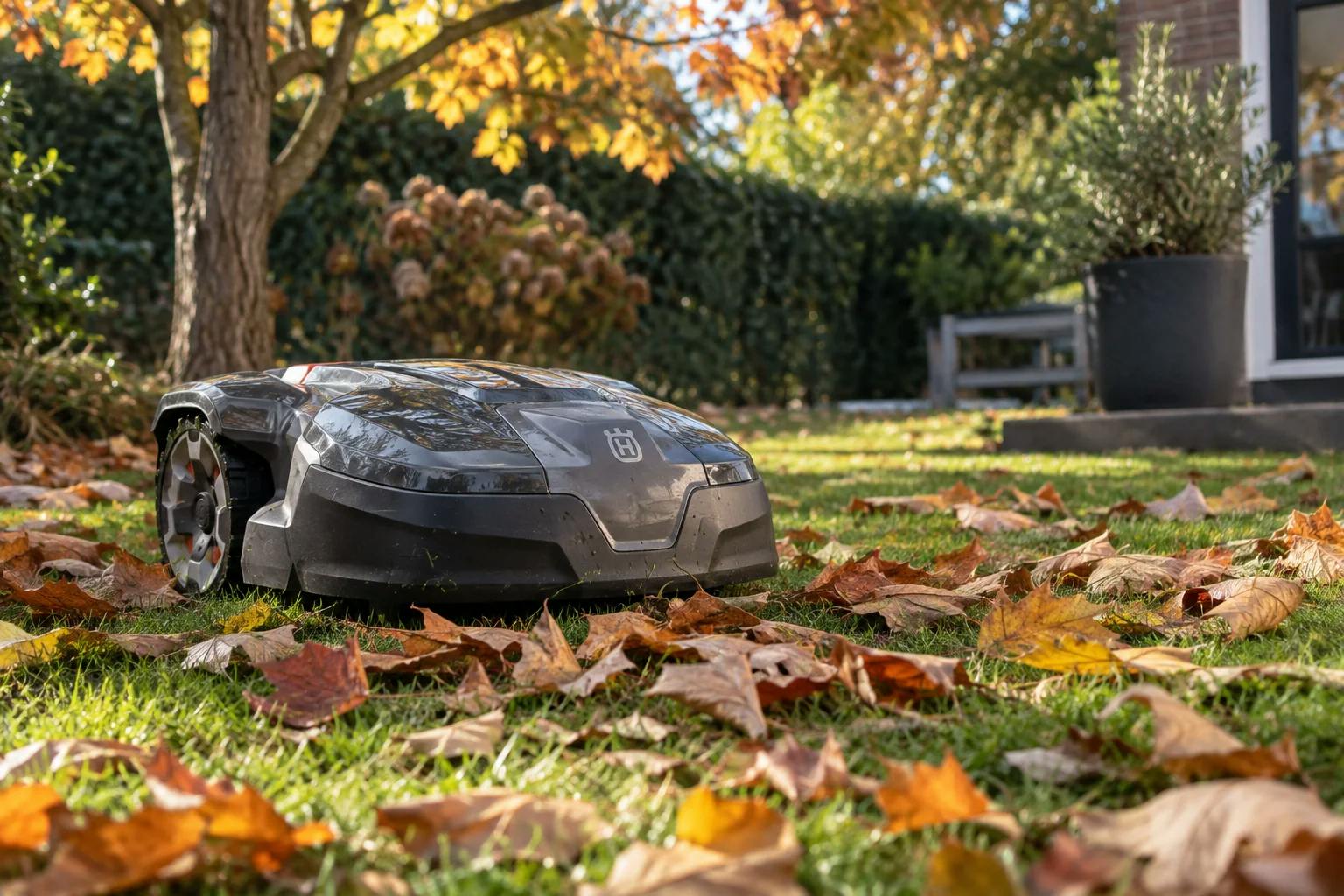 De blaadjes vallen! Kan je robotmaaier dan gewoon blijven maaien?