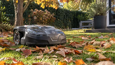De blaadjes vallen! Kan je robotmaaier dan gewoon blijven maaien?