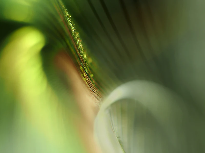 Abstracte fotografie - Ontdek bijzondere beelden in het alledaagse