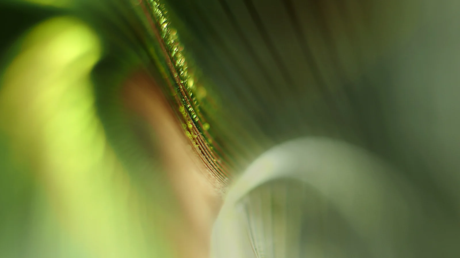 Abstracte fotografie - Ontdek bijzondere beelden in het alledaagse