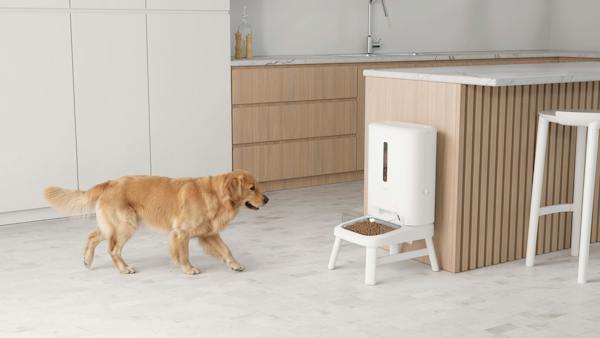 Hombli Smart Pet Feeder XL