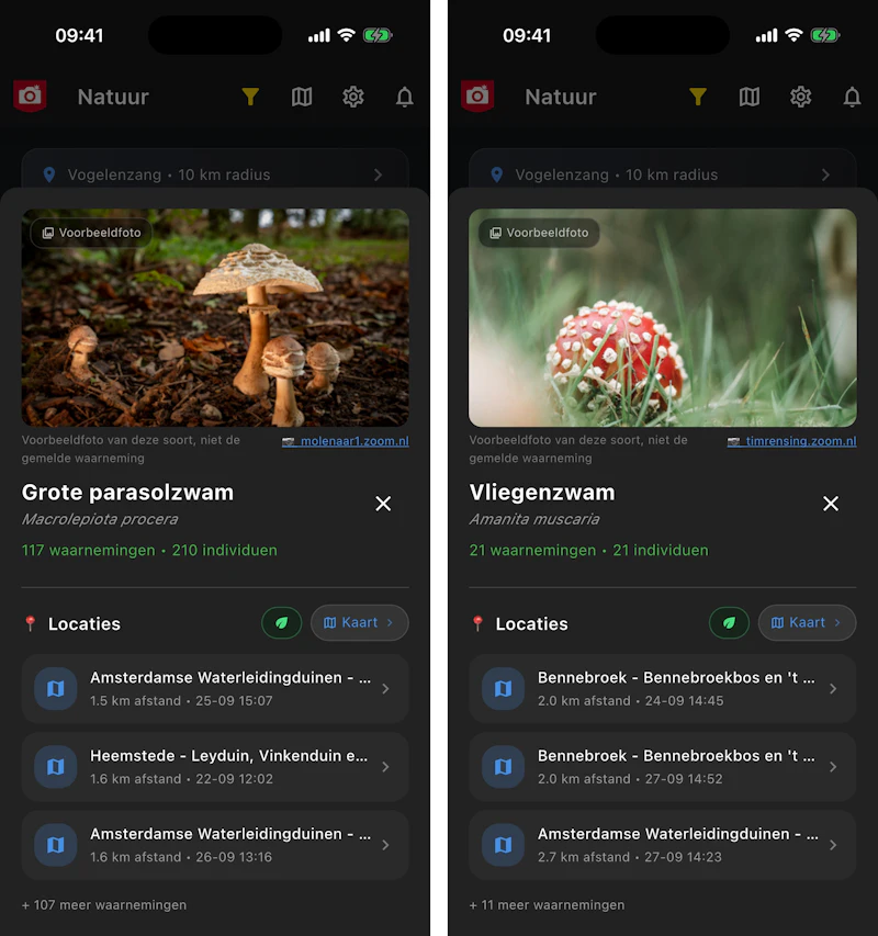 Zoom Alerts krijgt een scherpe wolkenkaart, paddenstoelen en een pauzeknop