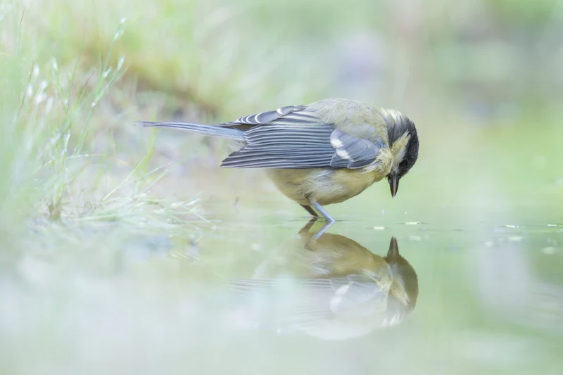 Fotograferen door glas: zo gebruik je reflecties, condens en vervorming creatief