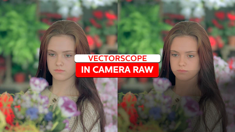 Werken in Photoshop - De Vectorscope gebruiken in Camera RAW