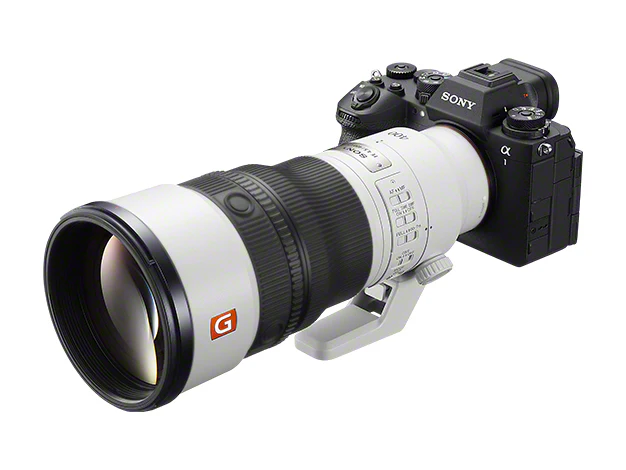 Review - Sony FE 400mm F4.5 en 600mm F6.3 GM OSS