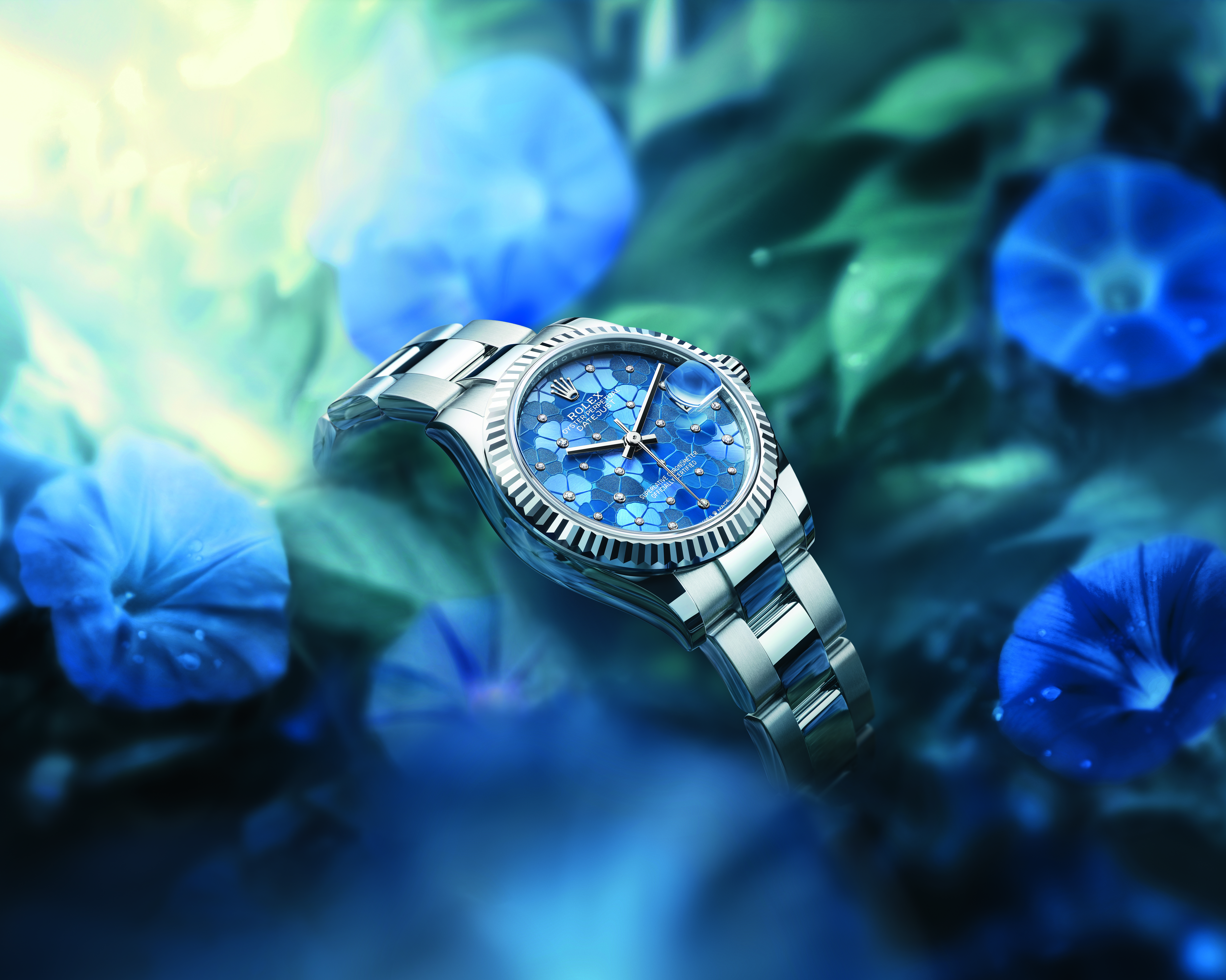 Anatom a de un reloj Oyster Perpetual Datejust 31