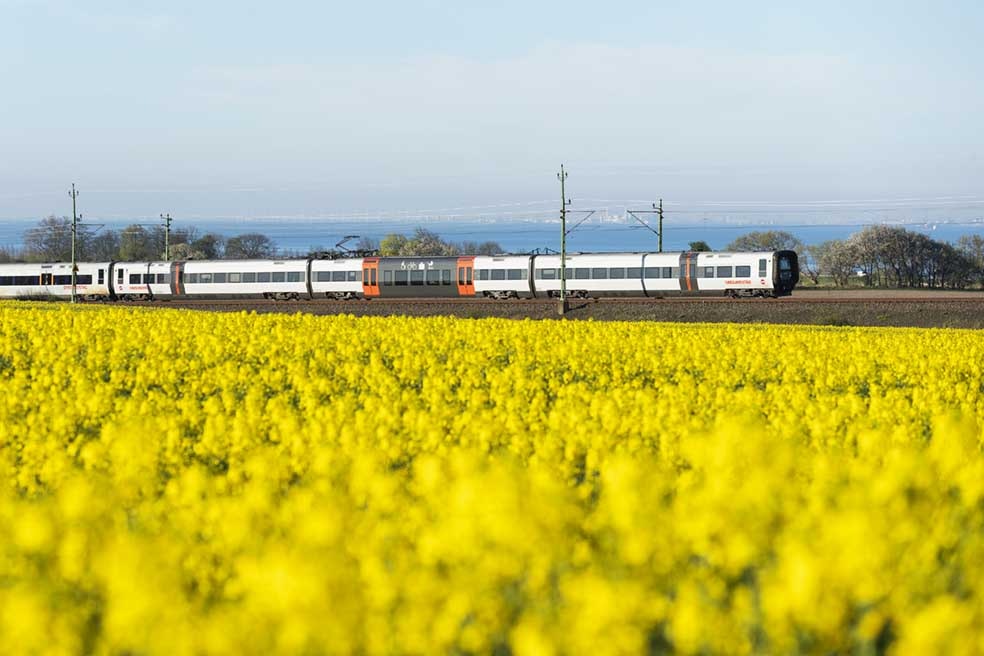 Öresundståg vid rapsfält i Glumslöv Skåne